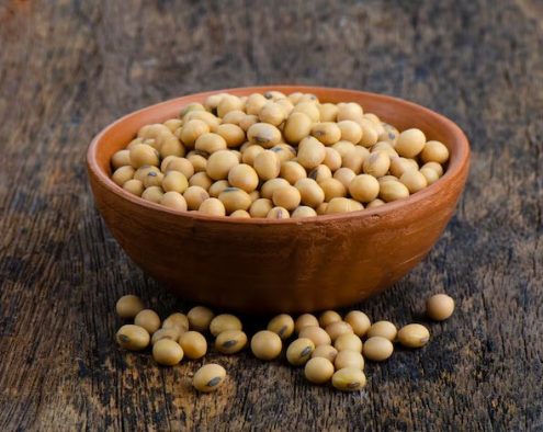 Premium non-GMO Soybeans