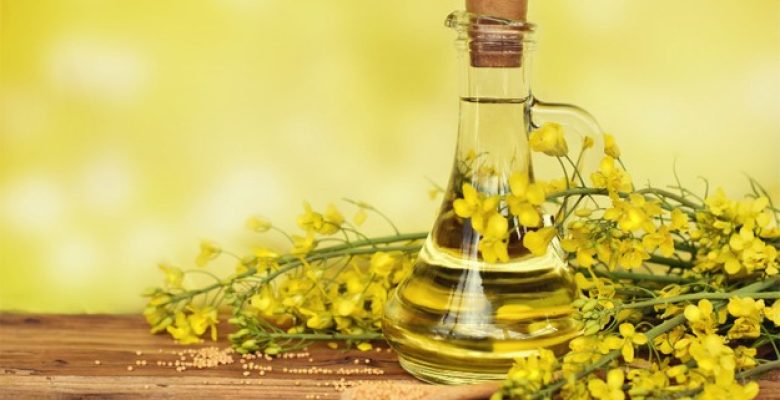 HIGH OLEIC RAPESEED OIL